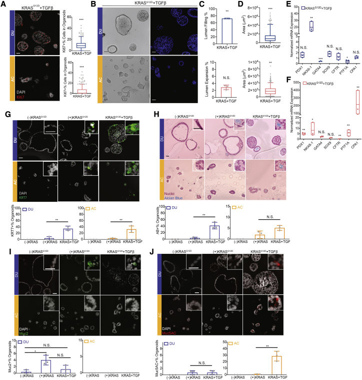 Figure 6