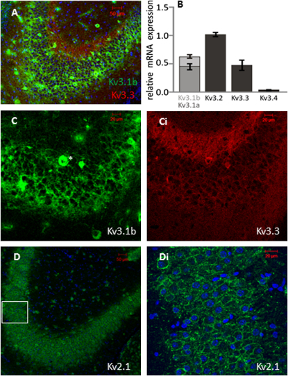 Figure 4