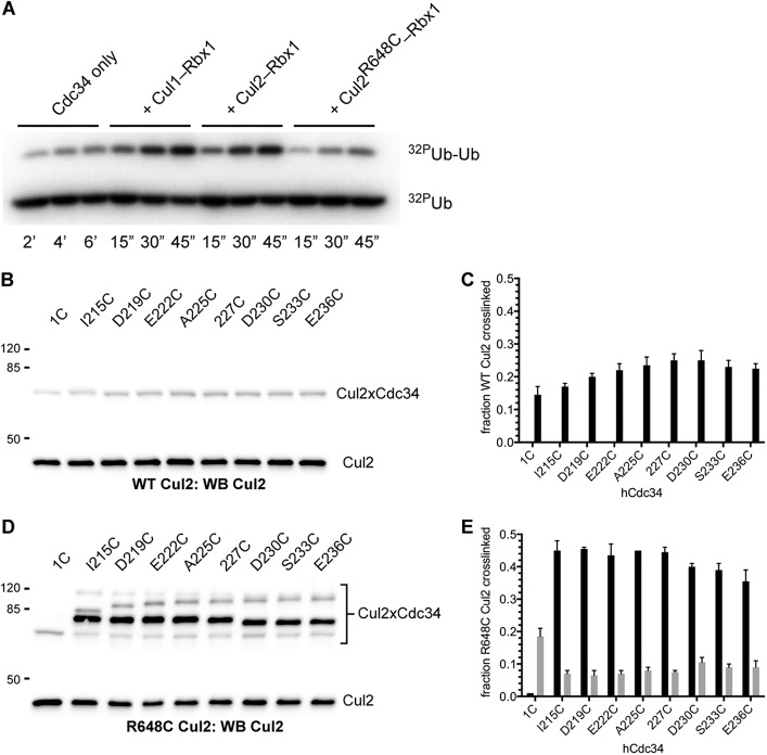 FIGURE 13.