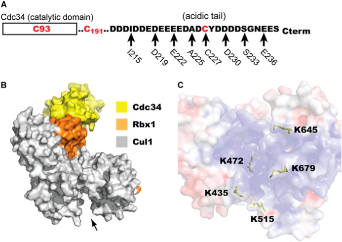 FIGURE 2.