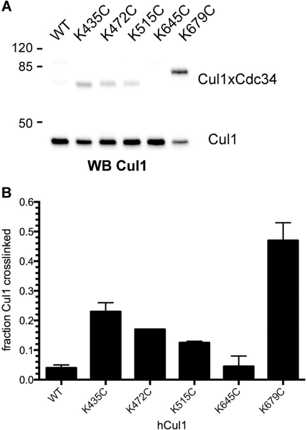 FIGURE 11.