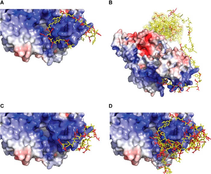 FIGURE 1.