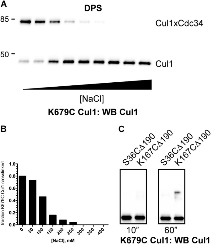 FIGURE 10.