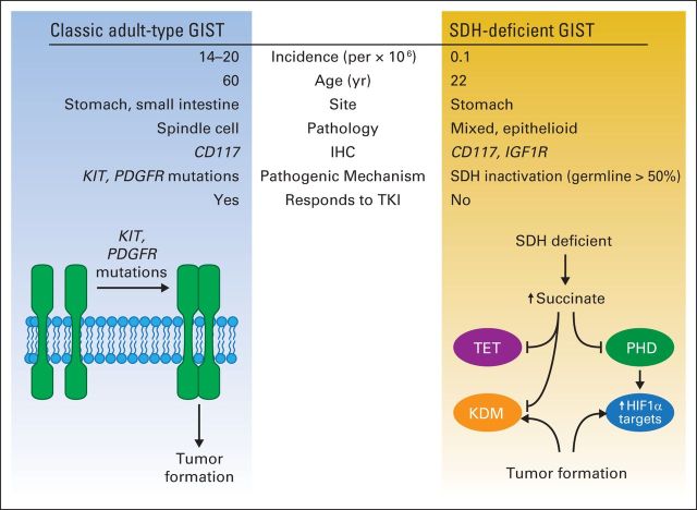 Fig 2.