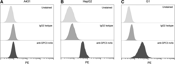 FIG. 2.