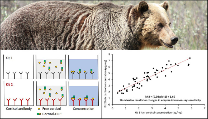 Image, graphical abstract