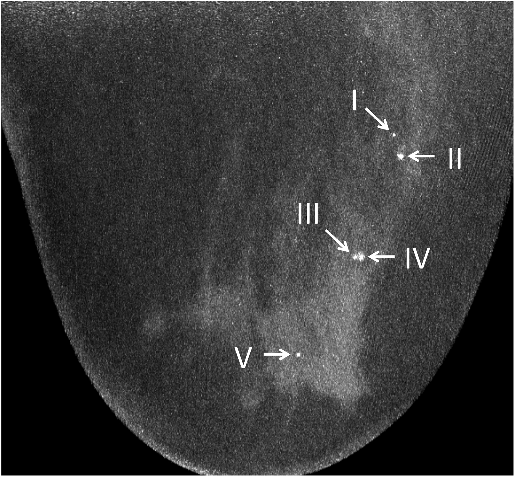 Figure 6: