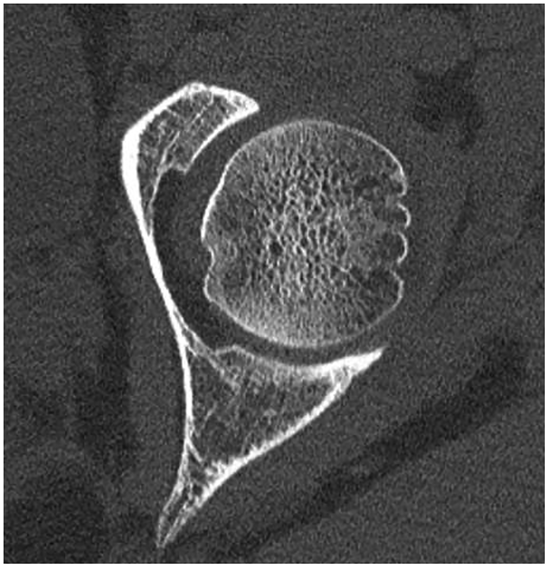 Figure 5: