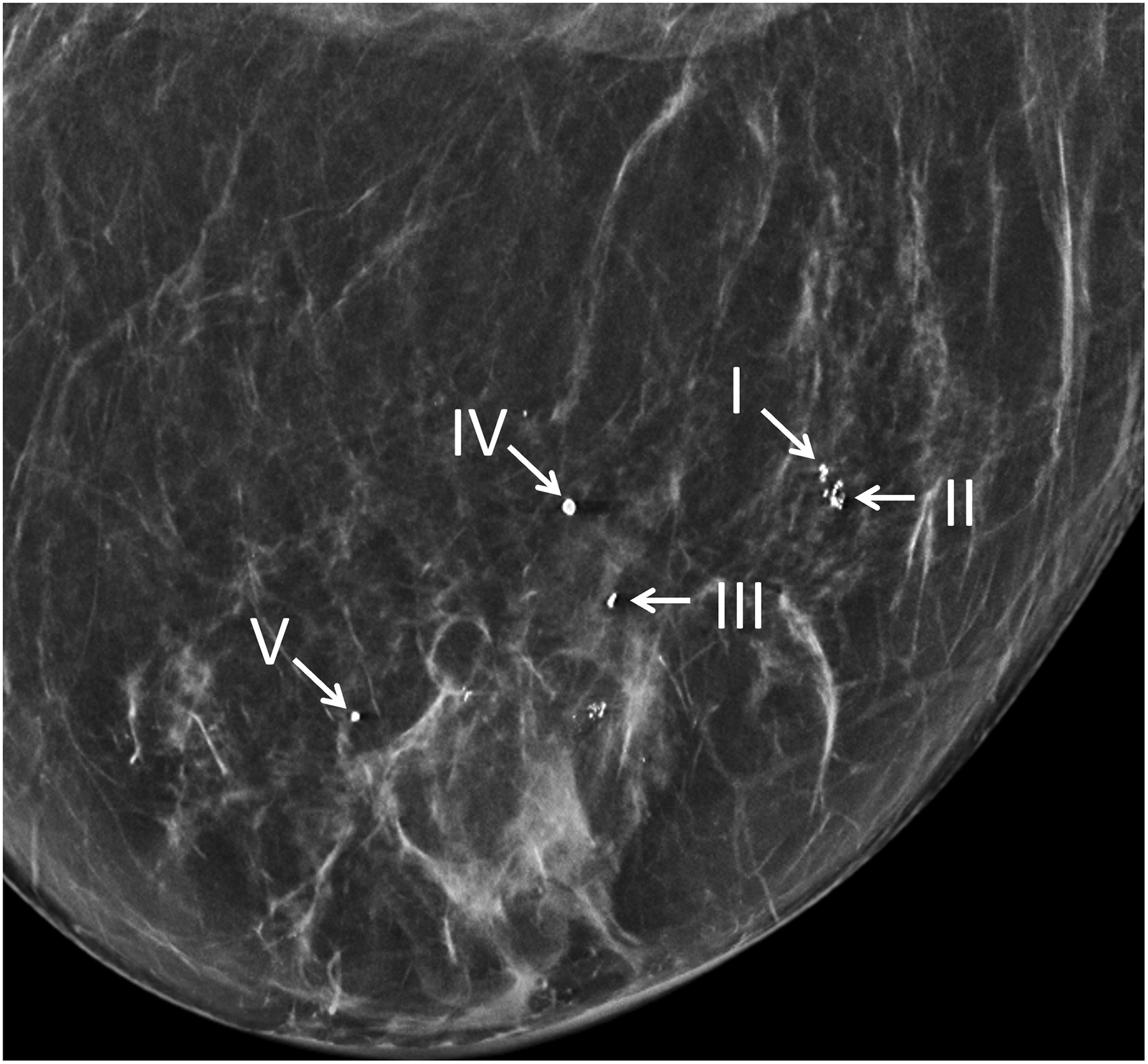 Figure 6: