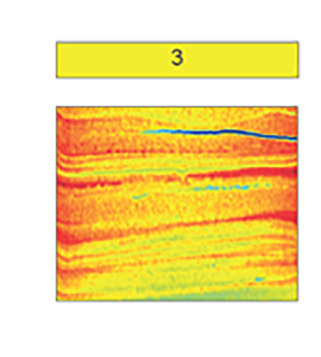 graphic file with name pnas.2211711120unfig04.jpg