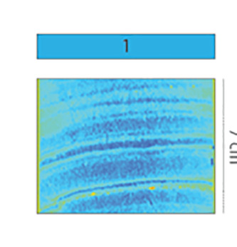 graphic file with name pnas.2211711120unfig02.jpg