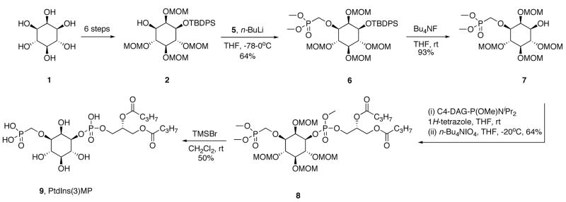 Scheme 2