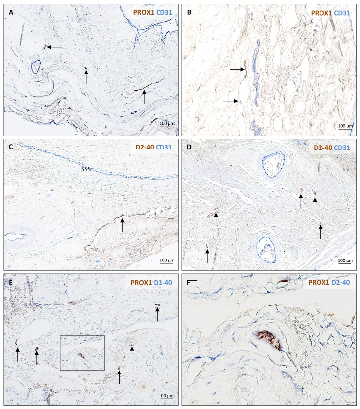 Figure 3—figure supplement 1.