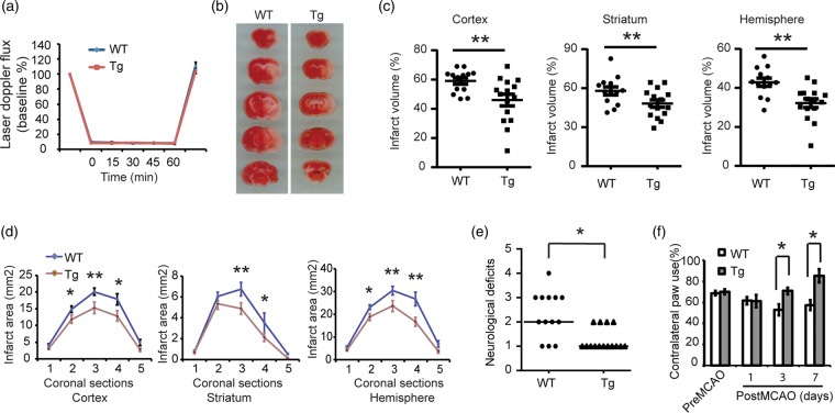 Figure 5.