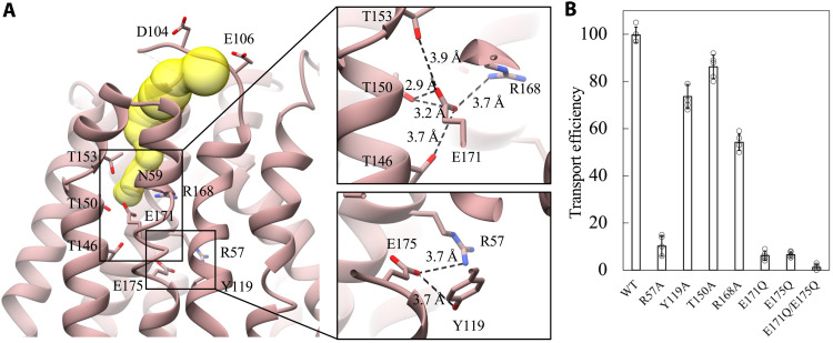 Fig. 3.