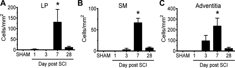 Fig. 11.