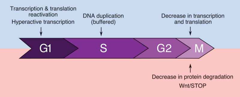 Figure 3.