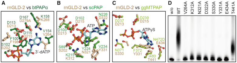 Figure 4.