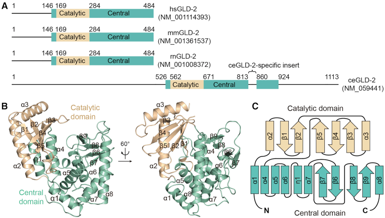 Figure 1.