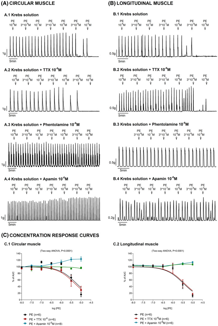 FIGURE 3