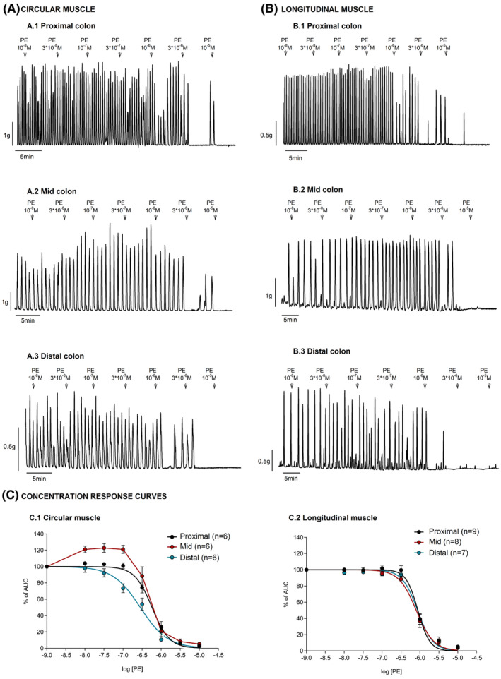 FIGURE 1