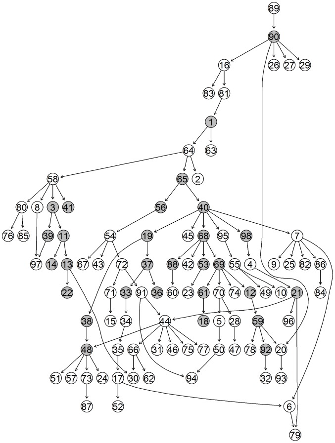 Figure 13