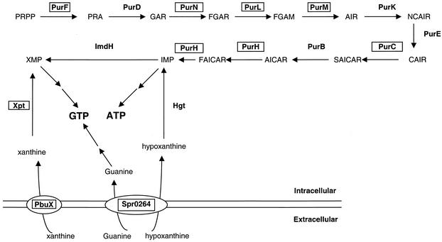 FIG. 5.