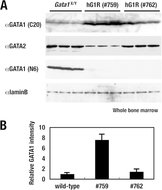 FIG 4