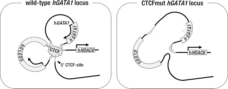 FIG 10