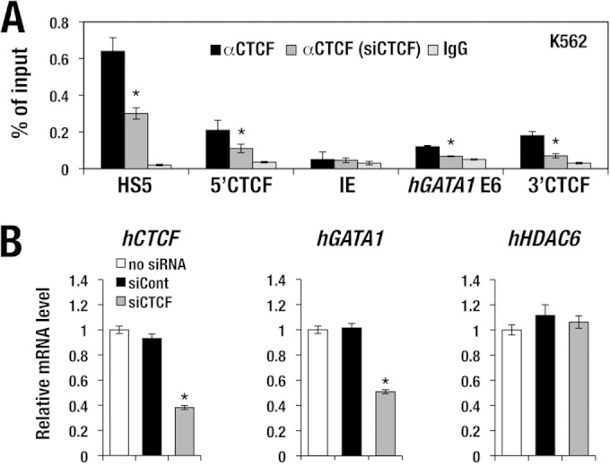 FIG 6