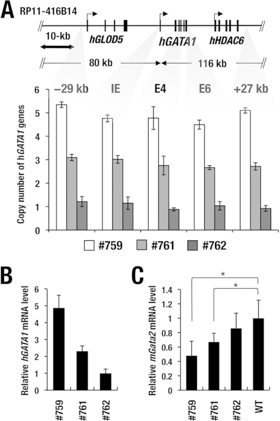 FIG 1