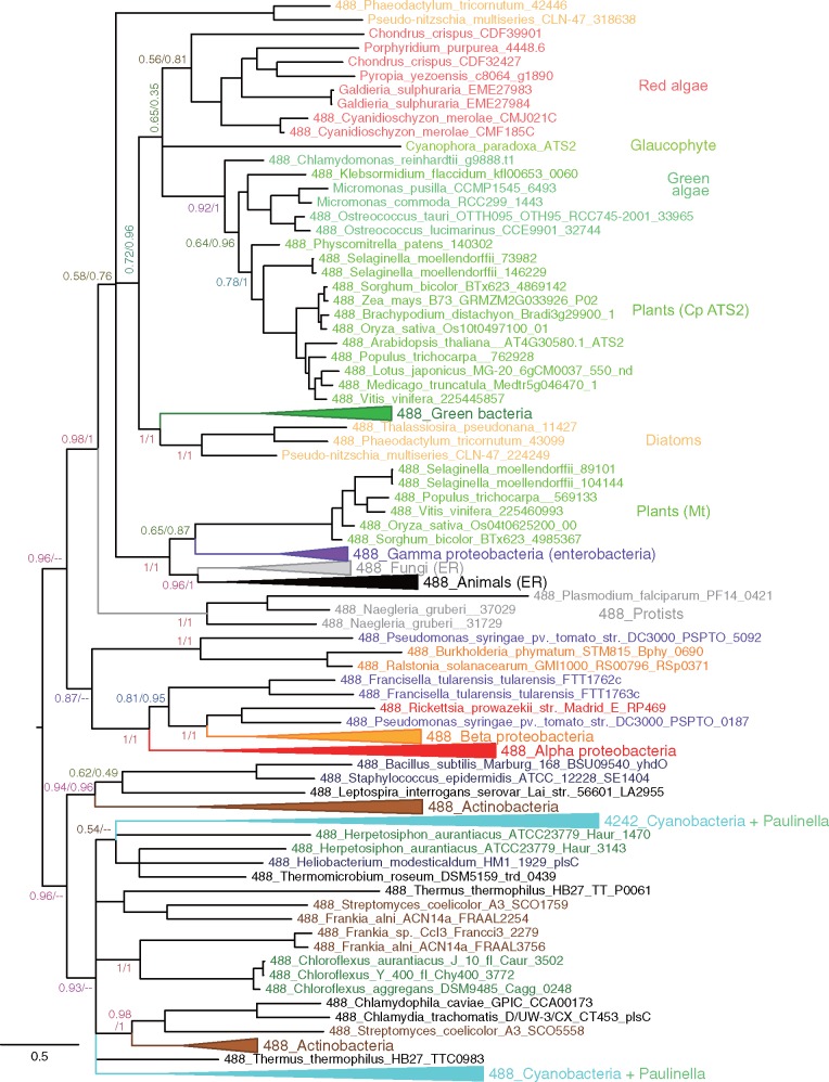 Fig. 4.