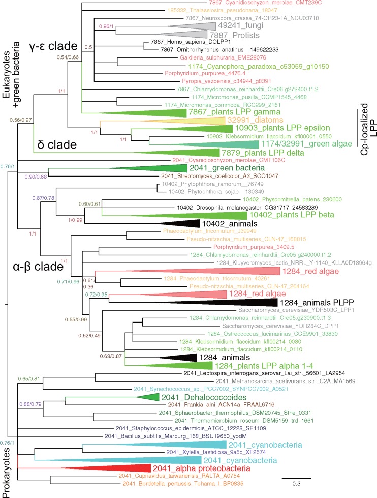 Fig. 6.