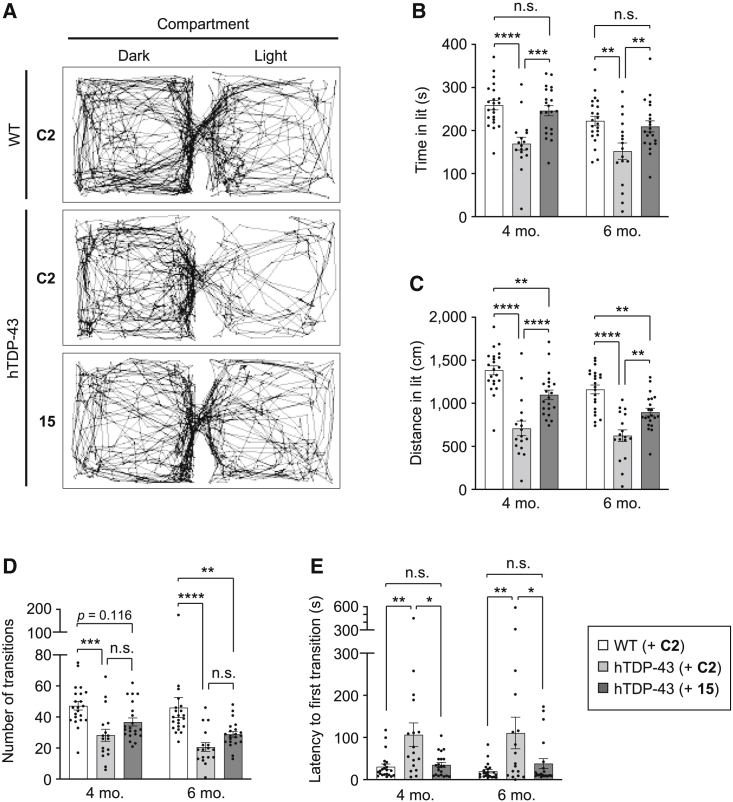 Figure 4