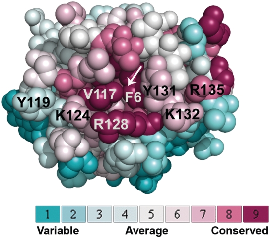 Figure 2.