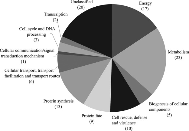 FIG 1