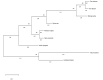 Fig. (8)