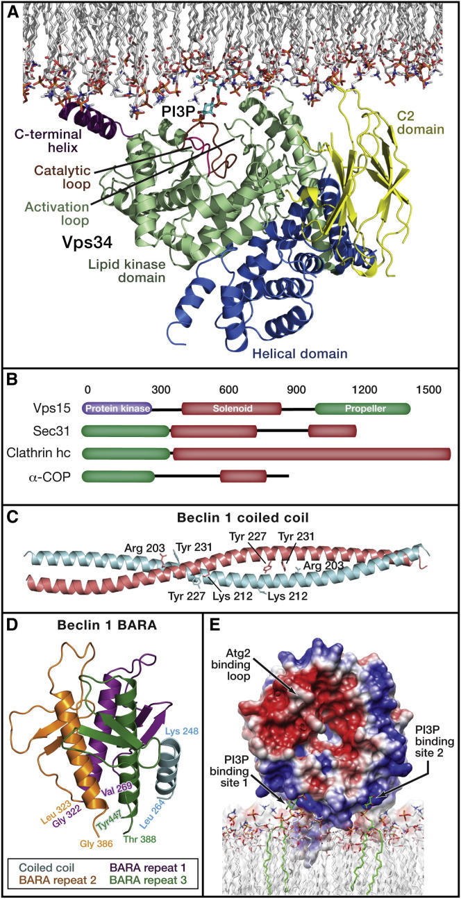 Figure 3