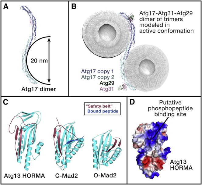 Figure 2