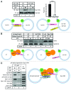 Figure 3.