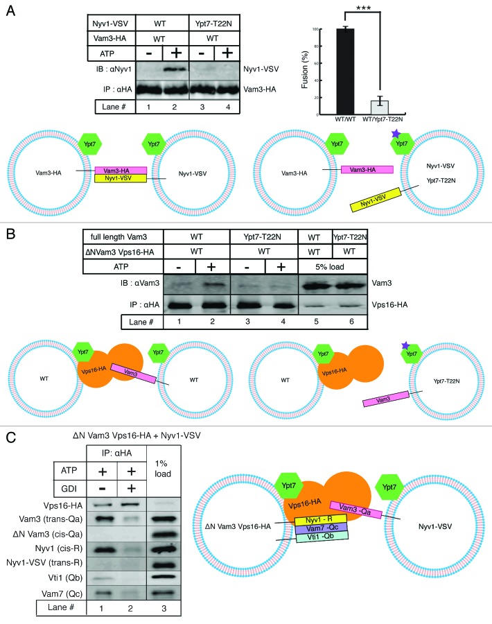 Figure 3. 