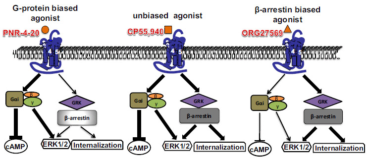 Fig. (2)