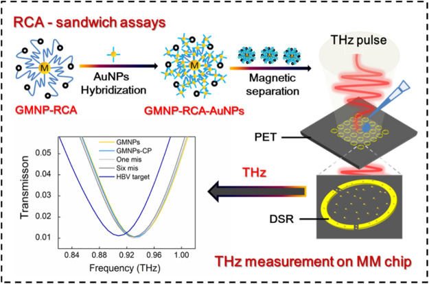 graphic file with name FBIOE_fbioe-2022-930800_wc_abs.jpg