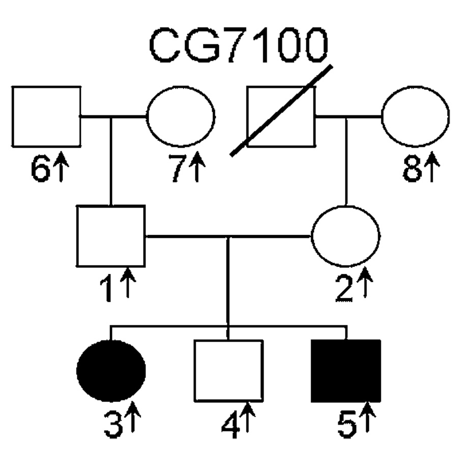 FIG. 1