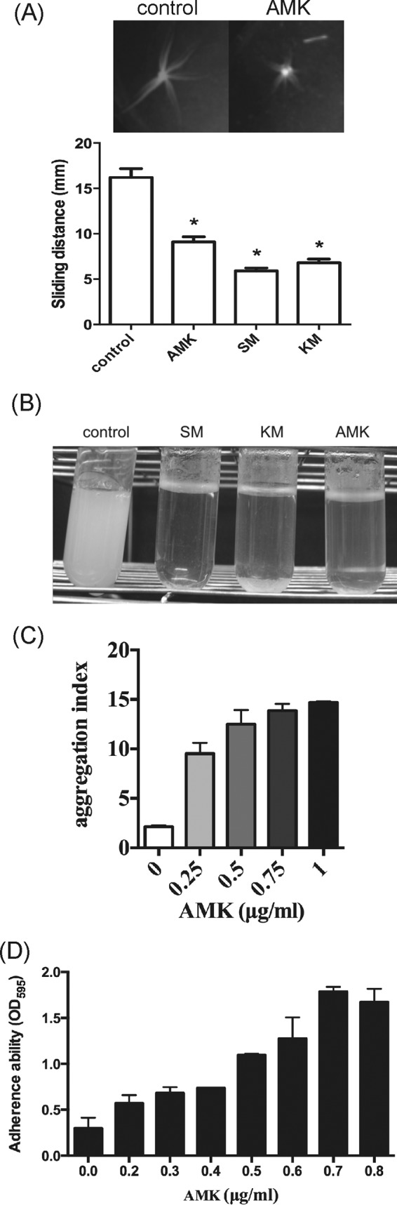 FIG 2