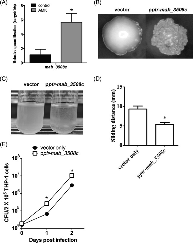 FIG 6