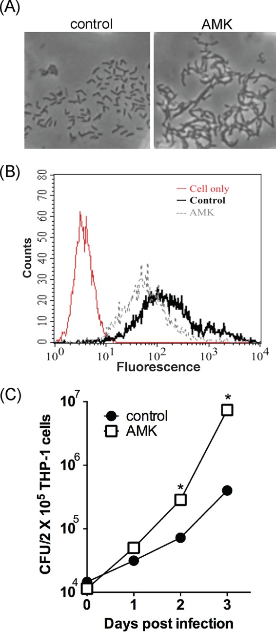 FIG 3