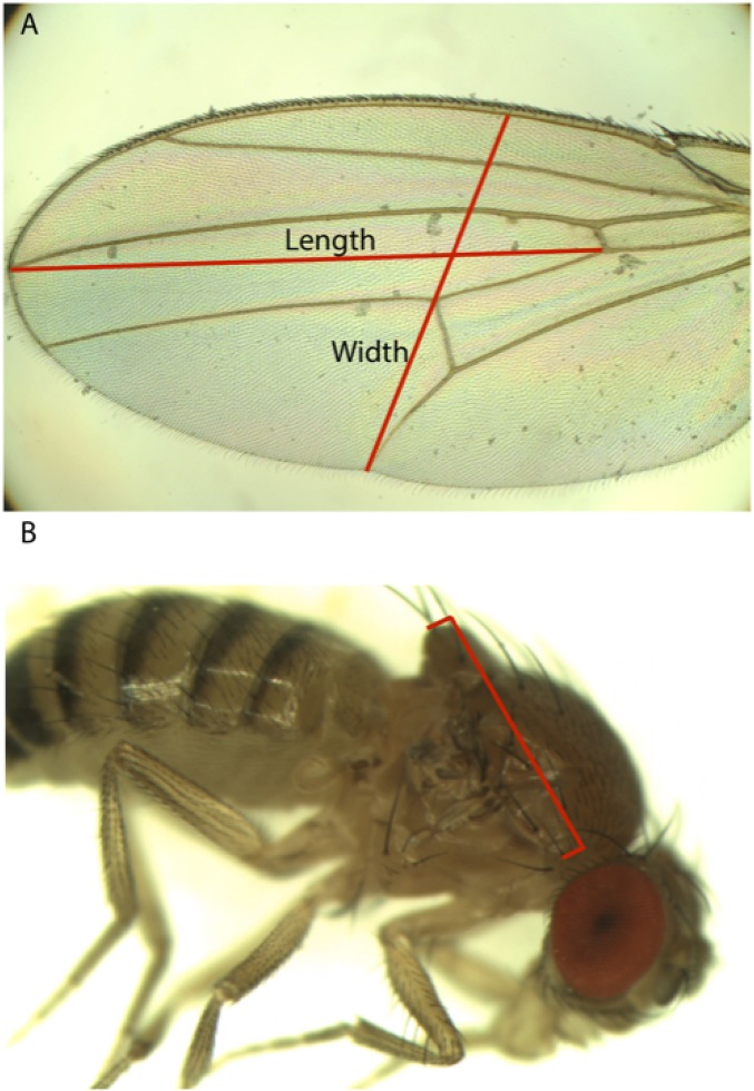 Fig. S1.