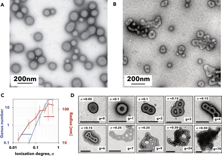 Figure 6