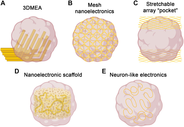 FIGURE 1